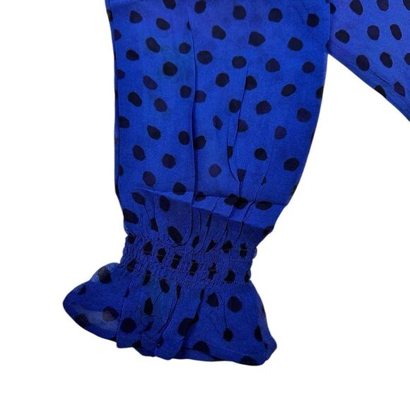 NWOT Bl^nk London AnthropologieBlue Polka Dot Sheer Long Sleeve Blouse - Size M - Picture 5 of 10